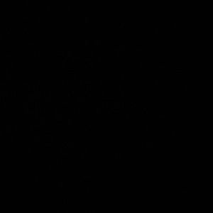 Meet your Posher, Reece